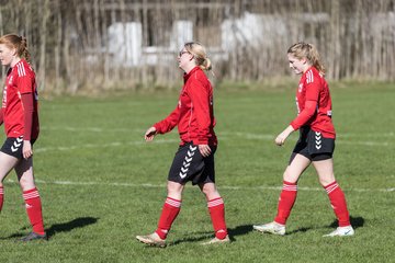 Bild 439 - F SG NieBar - IF Stjernen Flensborg : Ergebnis: 4:1